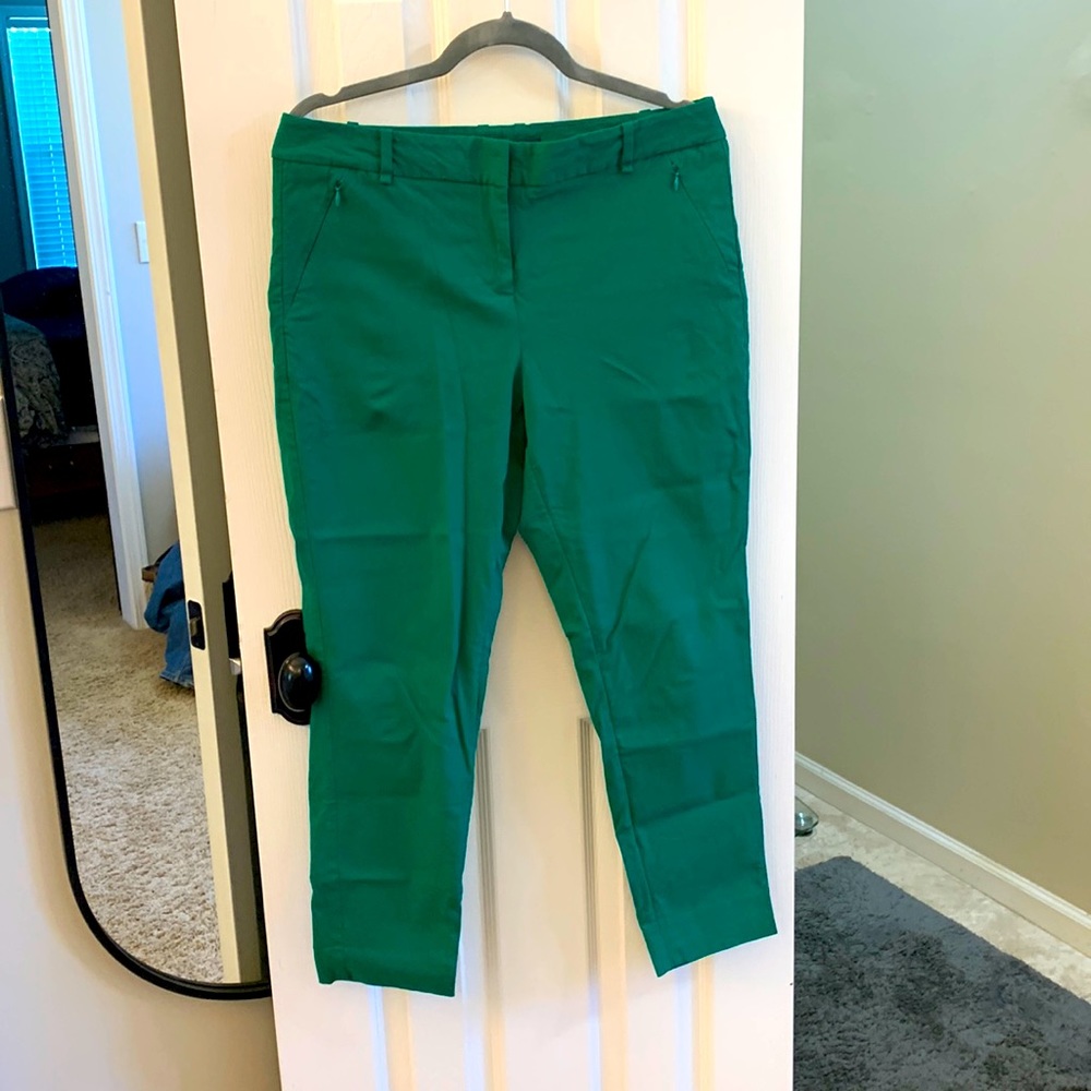 The Limited Exact Stretch Green Pants 10R
